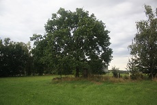 Blick von der Strasse