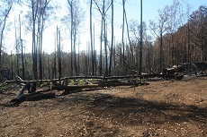 Blick Richtung Böhmen