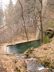 Der Teich lädt eigentlich zum Baden ein.