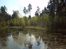 ... und so sieht das Feuchtbiotop mit Wasser aus!