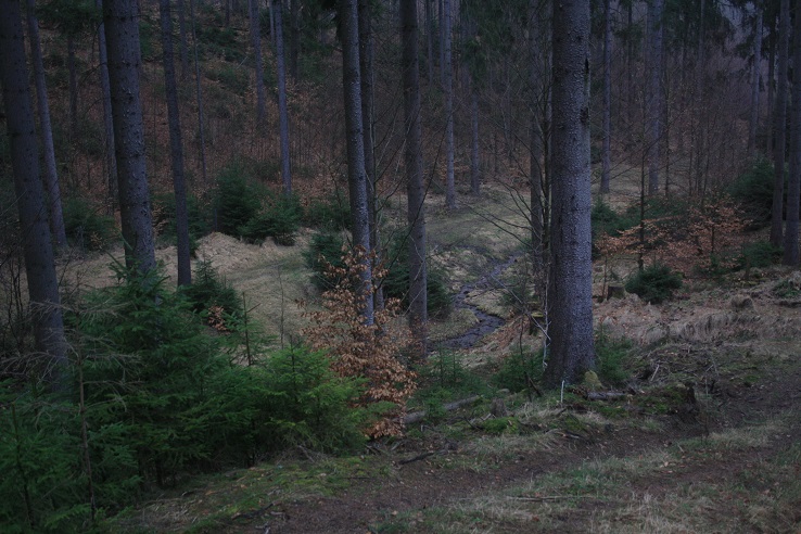 Blick auf den Heidelbach!