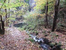 Hier endet die wildromantische Schlucht am Wasserfall.