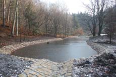 Blick über den Teich