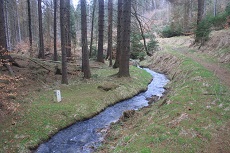 Blick auf den Heidelbach!