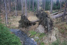 Die liegen in Tschechien