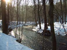 Vor der Wesenitzklamm