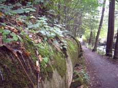 Zulaufkanal, beginnt an der Lochmühle