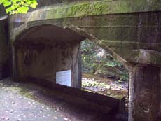 Der Wanderweg unter dem Viadukt